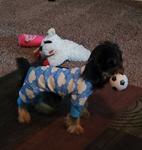 Doggie Design CuddlePup Dog Pajamas - Fluffy Clouds - Blue