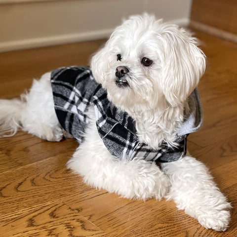 Weekender Dog Sweatshirt Hoodie - Black & White Plaid Flannel