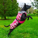 Doggie Design Dog Coat Alpine All Weather Dog Coat - Raspberry Plaid