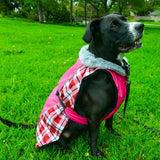 Doggie Design Dog Coat Alpine All Weather Dog Coat - Raspberry Plaid