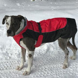 Dog Coat Alpine All Weather Dog Coat Doggie Design - Red and Black