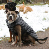 Alpine Extreme Weather Puffer Dog Coat  - BLACK