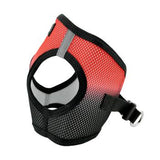 American River Choke-Free Dog Harness - Midnight Red Ombre