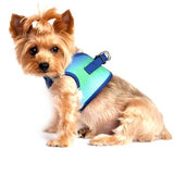 American River Choke-Free Dog Harness - Northern Lights Ombre