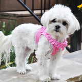 American River Choke-Free Dog Harness by Doggie Design - Pink Polka Dot