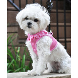 American River Choke Free Dog Harness - Pink Polka Dot