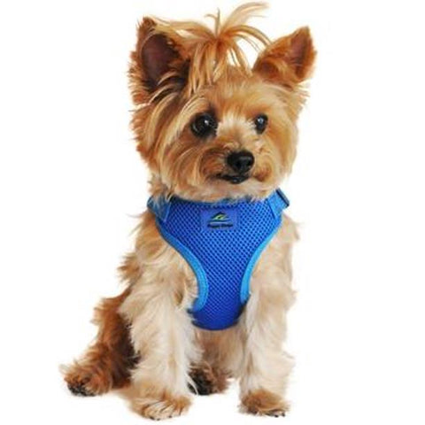 Wrap and Snap Choke Free Dog Harness - Colbalt Blue