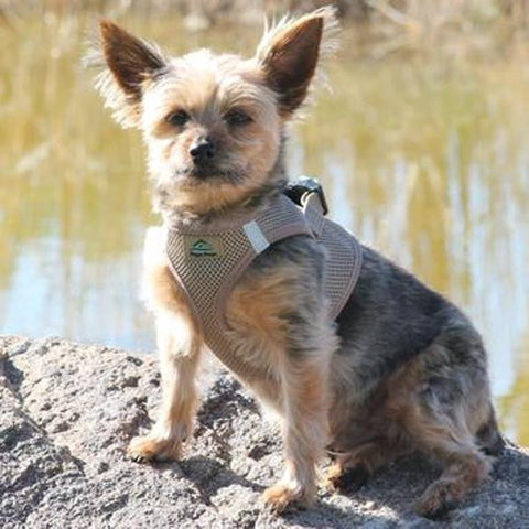 American River Ultra Choke-Free Mesh Dog Harness by Doggie Design - Fossil Brown