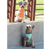 American River Ultra Choke-Free Mesh Dog Harness by Doggie Design - Teal