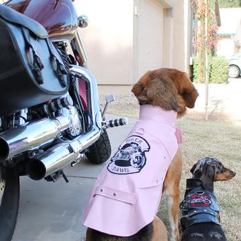 Biker Dawg Motorcycle Dog Jacket by Doggie Design - Pink
