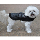 Doggie Design Black Top Dog Flight Coat Harness and Leash