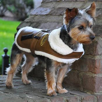 Doggie Design Brown and Black Faux Leather Bomber Dog Coat Harness and Leash