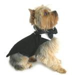 Dog Tuxedo w/Tails, Bow Tie & Collar Doggie Design