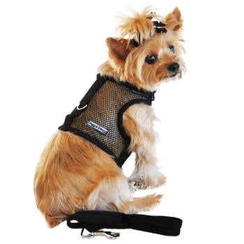 Cool Mesh Dog Harness & Leash - Solid Black