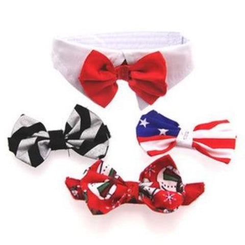 Dog Bow Tie Set with White Collar &  4 Interchangeable Bows