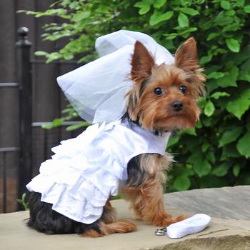 Doggie Design Dog Wedding Dress with Veil & Matching Leash