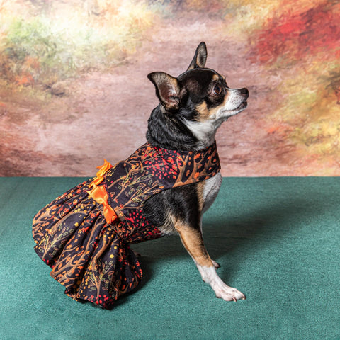 Fall Leaves Harness Dress With Matching Leash Doggie Design