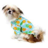 Hawaiian Camp Shirt by Doggie Design - Pineapple Luau