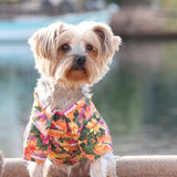 Make waves this season in the designer Hawaiian Camp Shirt with Sunset Hibiscus!  Hibiscus floral design collared shirt Touch fastener closure along belly Lightweight cotton