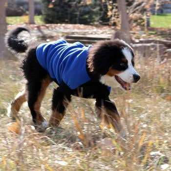 Highline Fleece Dog Coat - Black & Blue Size 26 & 28 Clearance