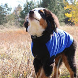 Highline Fleece Dog Coat - Black & Blue Size 26 & 28 Clearance