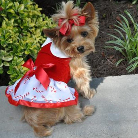 Holiday Dog Harness Dress by Doggie Design - Candy Canes