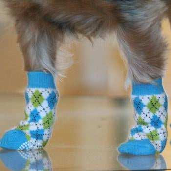 Doggie Design Dog Socks Non Skid Blue and Green Argyle