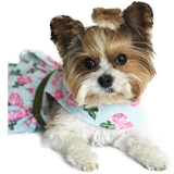Pink Rose Harness Dog Dress with Matching Leash