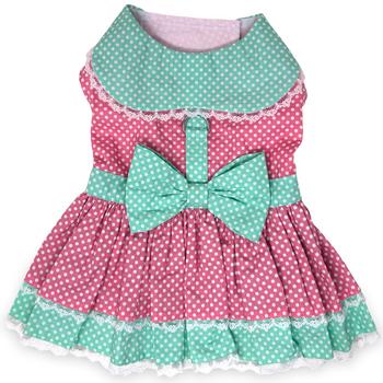 Polka Dot and Lace Dog Dress Set with Leash - Pink and Teal Doggie Design