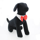 Red Satin Dog Bowtie & Collar  Doggie Design